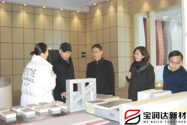 海馬集團(tuán)一行來訪寶潤達(dá)參觀考察